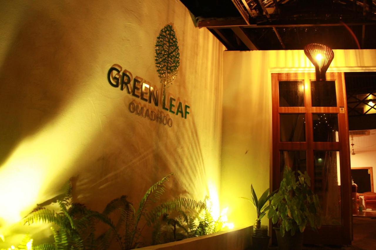 Green Leaf Guest House - Omadhoo Eksteriør bilde