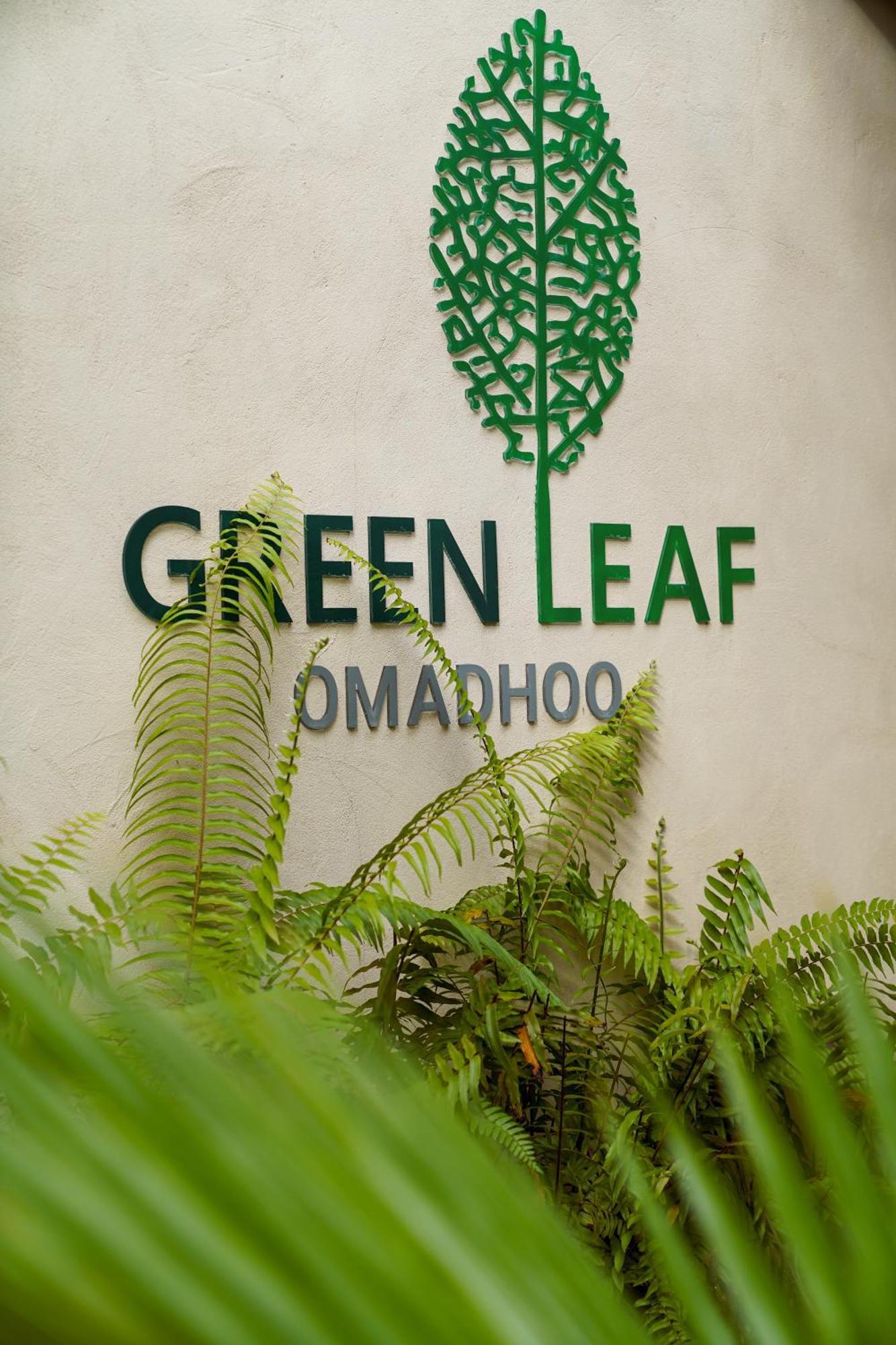 Green Leaf Guest House - Omadhoo Eksteriør bilde